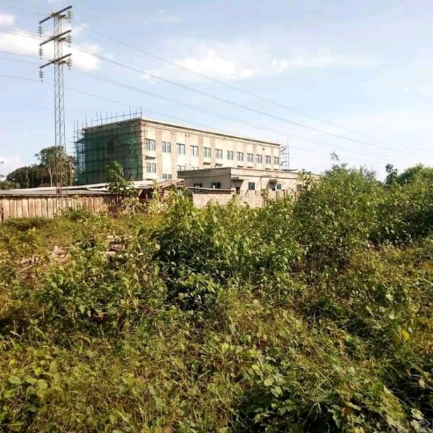 Main image of Terrain titré et loti à  vendre à  kribi 1er