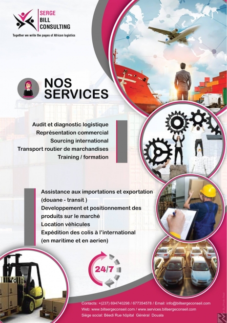 Main image of Dédouanement des marchandises consulting