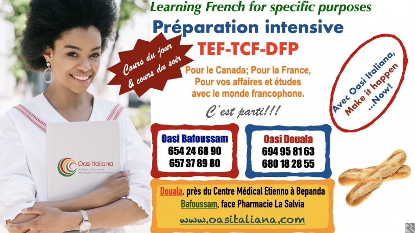 Image principale de Préparations intensives aux TCF-TEF-DFP