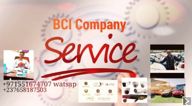 Main image of BCI COMPAGNY