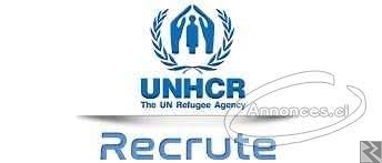 Image principale de RECRUTEMENT UNHCR 2020