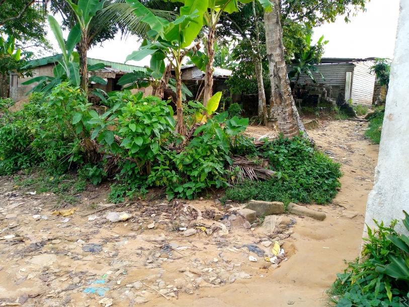 Main image of Terrain titré a vendre a nyalla chà¢teau 300m2