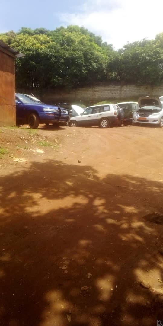 Main image of 1458m2 de terrain titré a Tongolo