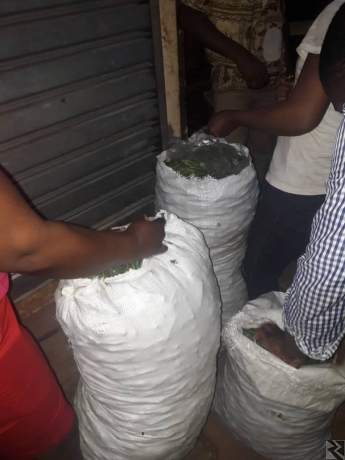 Main image of Vente du gombo