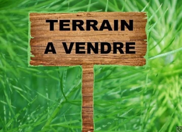 Main image of terrain titré et loti à  vendre a nkoabang
