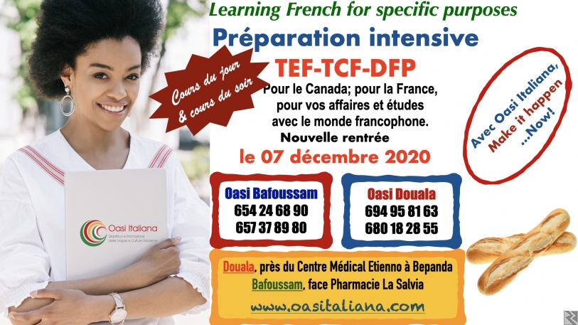 Image principale de Cours de français  préparation TCF TEF DFP