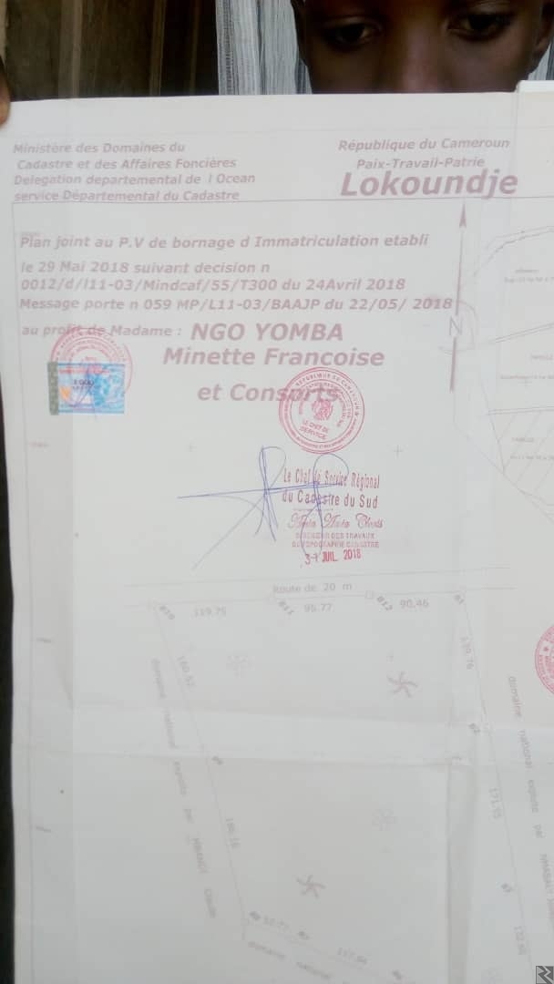 Main image of Terrain a vendre a Libwambe