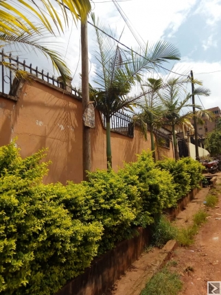 Main image of Villa spacieuse,  titrée de 12 pièces bà¢tie sur une superficie de 500m2, à  vendre au quartier MIMBOMAN