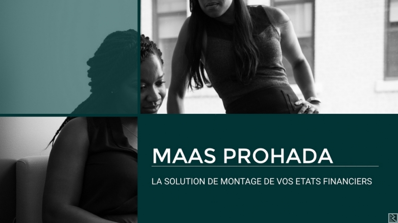 Main image of Progiciel De Montage DSF Et États Financiers