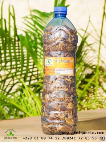 Image principale de En finir avec la drépanocytose