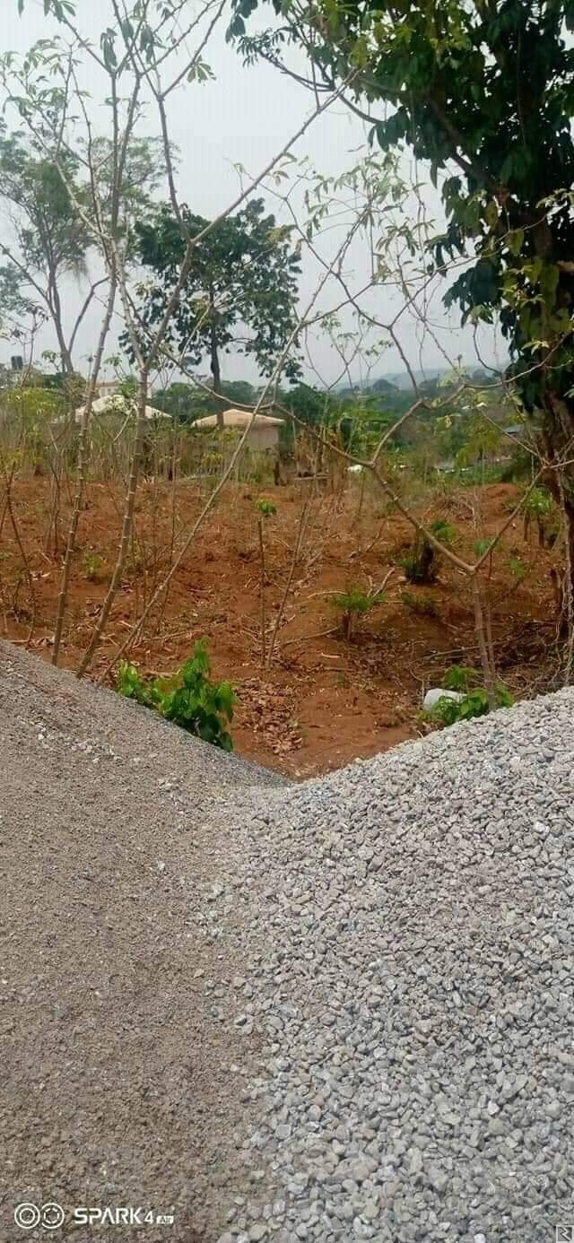 Main image of Terrain  et lotis a vendre a Fougerole