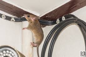 Main image of Offre de service