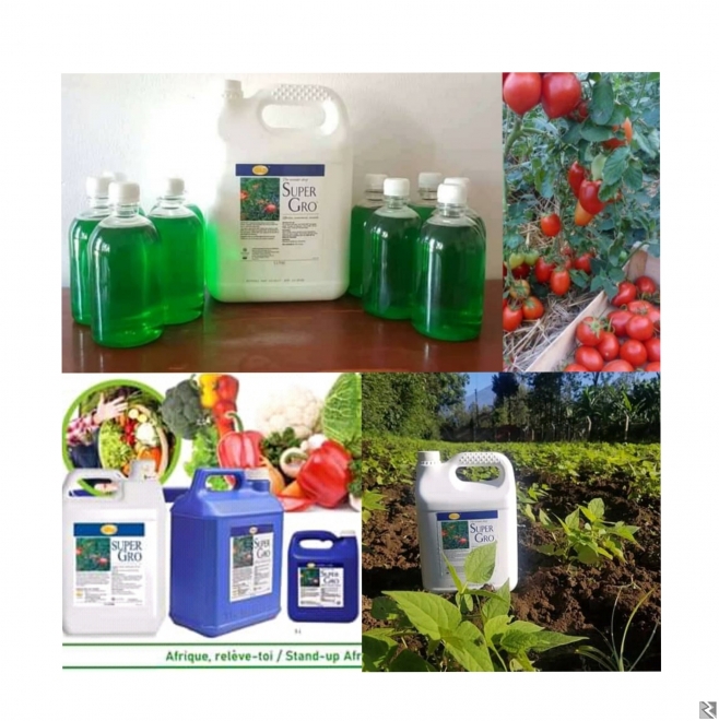 Main image of Engrais SUPER GROS liquide