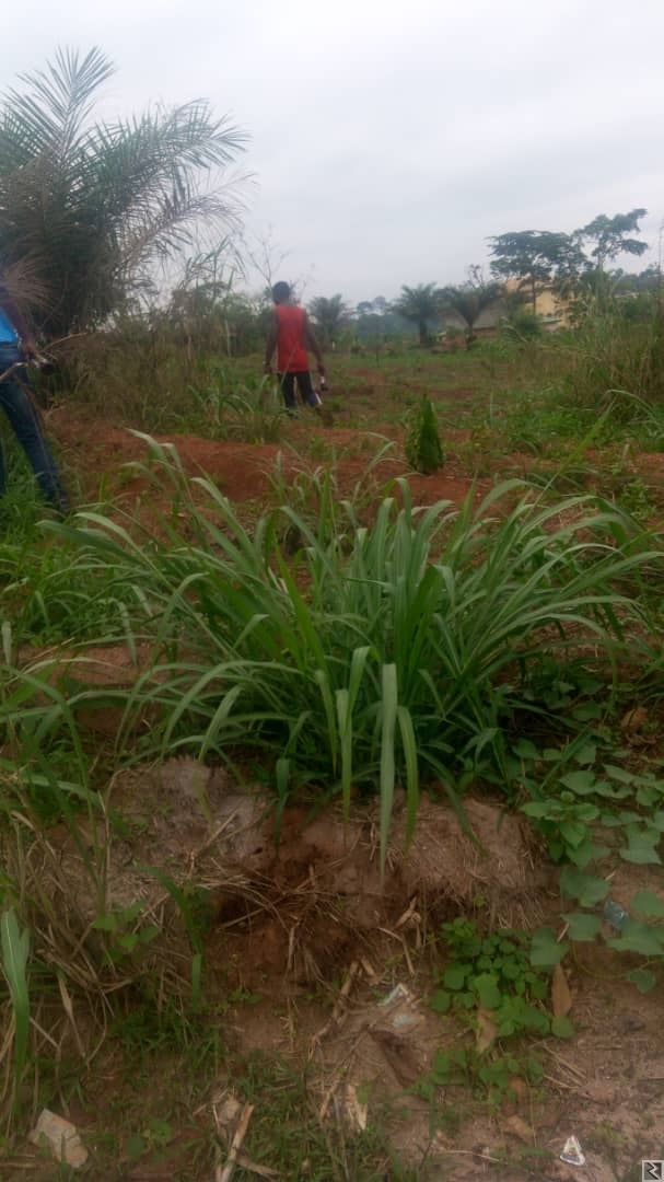 Main image of vous cherchez une maison un terrain