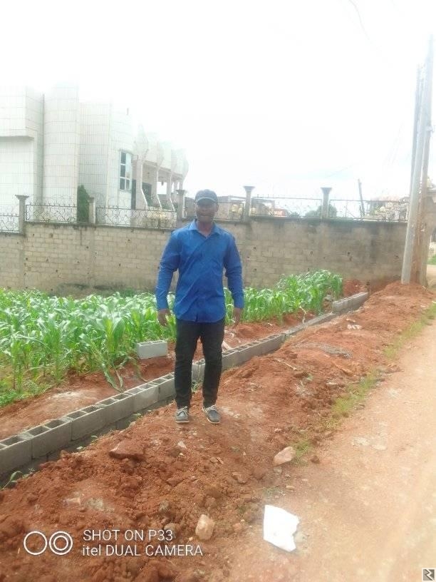 Image principale de Construction et réfection de bà¢timents