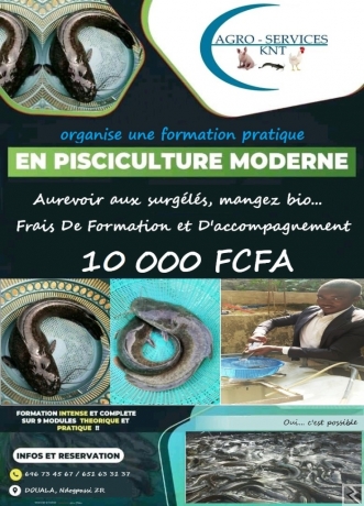 Main image of Formation en Pisciculture