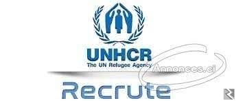 Image principale de PROGRAMMES DES JEUNES ADMINISTRATEURS UNHCR CANADA
