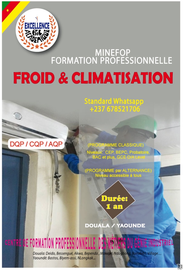 Main image of FORMAT EN FROID ET CLIMATISATION