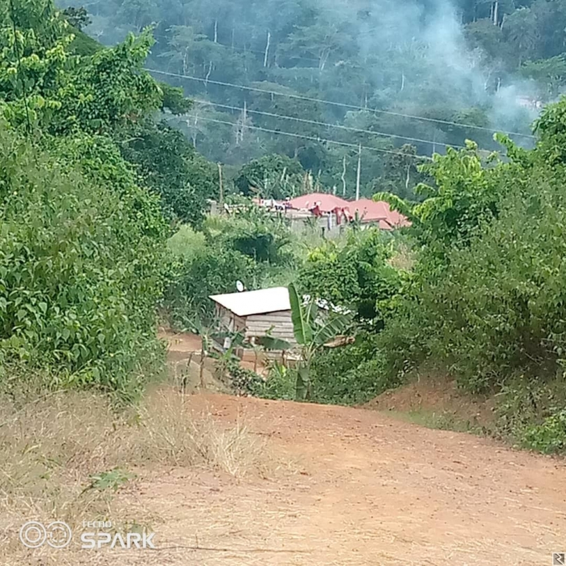 Main image of Terrain  titré à  Nkolodom par Messassi