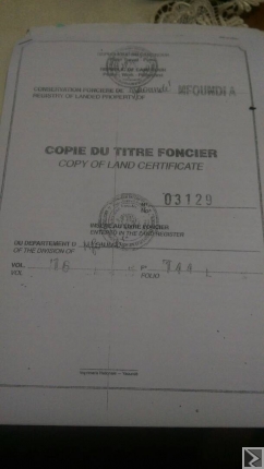 Main image of Terrain titré, bien placé, d'une superficie de 1051m2 titré , à  vendre du coté de OLEMBE derrière le stade