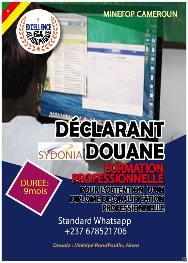 Main image of FORMATION EN DÉCLARANT EN DOUANE