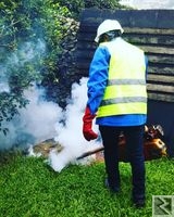 Image principale de SERVICE DE DERATISATION DESINSECTISATION