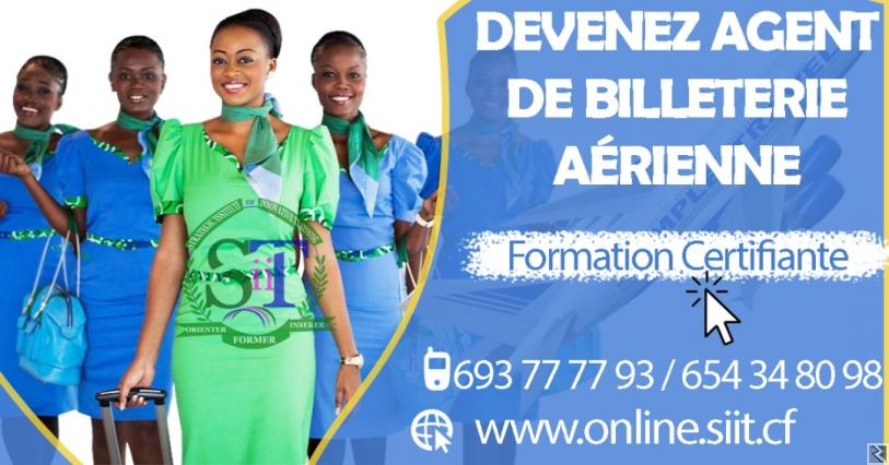Main image of DEVENEZ AGENT DE BILLETERIE AERIENNE