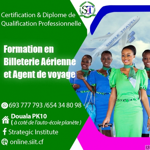 Main image of DEVENEZ AGENT DE BILLETERIE AERIENNE