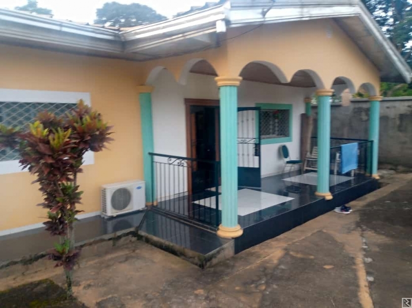 Main image of Villa titrée sur 444m2 à  vendre a Olembe