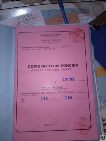 Image principale de Plusieurs hectares de terrain agricole titré à 