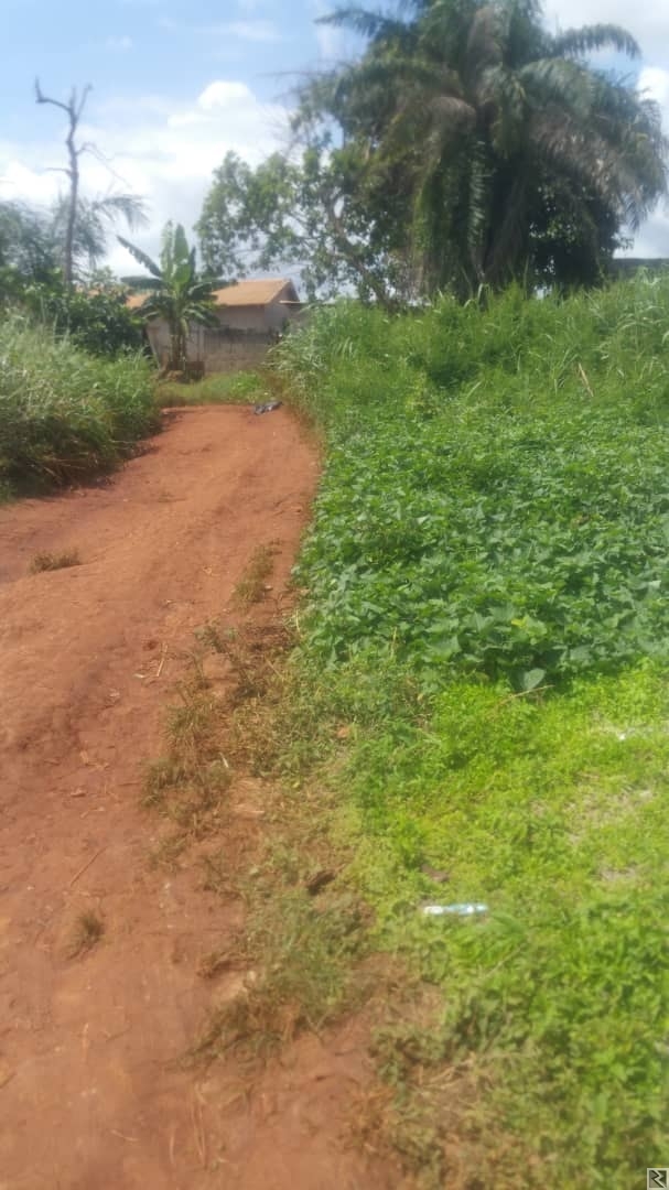 Image principale de 1000m2 de terrain titré à  vendre a Awae maison