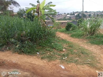 Main image of Terrain titré à  vendre à  KONDENGUI