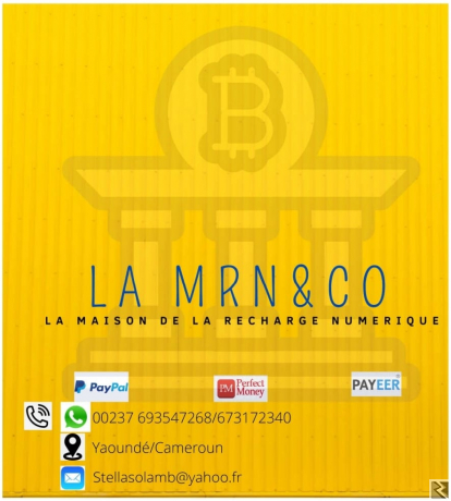 Main image of vente de dévises électroniques