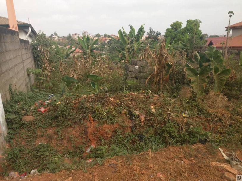 Image principale de 1000m2 de terrain titré à  vendre à  Nkolnda