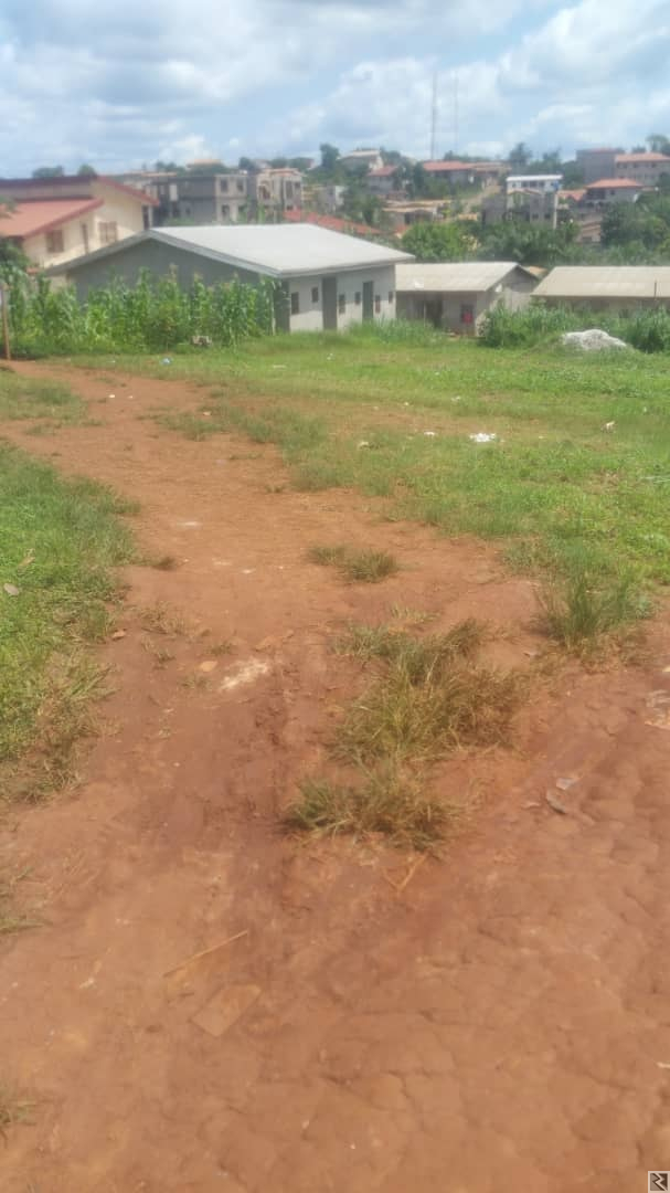 Image principale de 1000m2 de terrain titré  à  vendre à   Awae