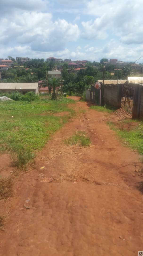 Image principale de 1000m2 de terrain titré  à  vendre à   Awae