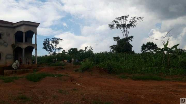 Image principale de TERRAIN A VENDRE A AWAE YAOUNDE