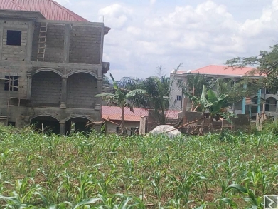 Main image of Terrain d'une superficie de 1000m2 titré , à  vendre à  NKOL ANGA  carrefour