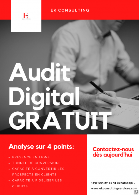 Main image of AUDIT DIGITAL GRATUIT