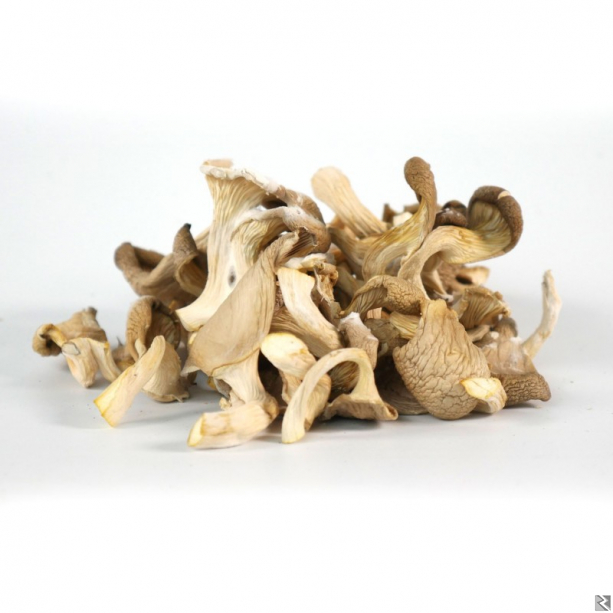 Image principale de Champignons séchés