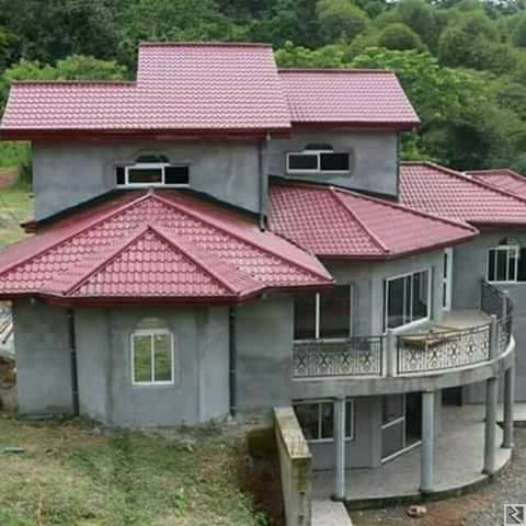 Image principale de toles et accessoires divers