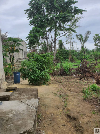 Image principale de Terrain titré à  vendre à  Mbwang bakoko