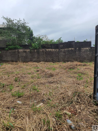 Image principale de Terrain titré à  vendre à  logbessou