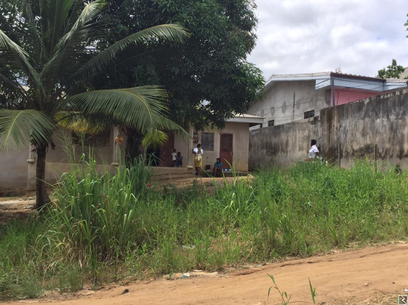 Main image of Maison a vendre a Ngodi bakoko Lieu dit Ari