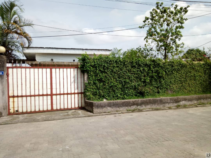 Main image of Terrain plus maison à  vendre à  Bonapriso