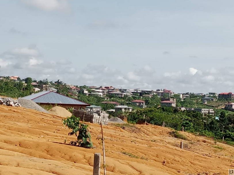 Main image of Terrain à  vendre logbessou lendi