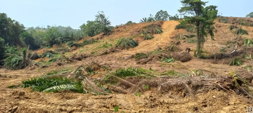 Main image of TERRAIN A VENDRE