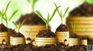 Main image of Campagne de financement