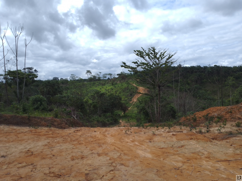 Main image of Terrain à  vendre a Kendeck