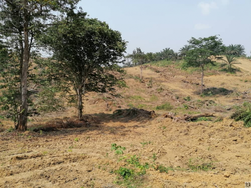 Image principale de TERRAIN A VOTRE DISPOSITION